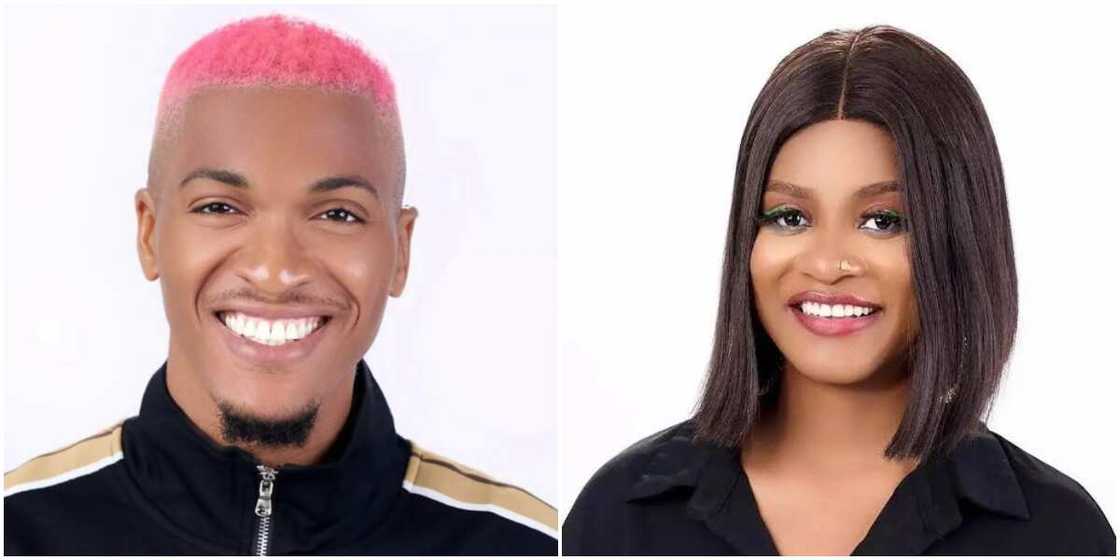 BBNaija Groovy and Phyna, BBN Phyna and Groovy BBNaija Groovy and Phyna, BBN Phyna and Groovy