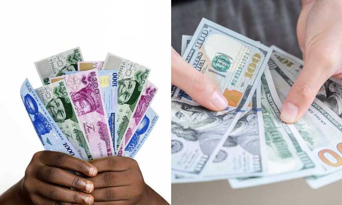 Naira gain, FG, CBN Naira gain, FG, CBN