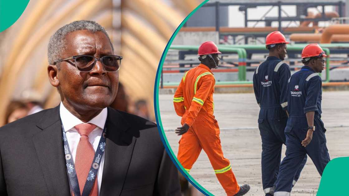 The Dangote Petroleum Refinery has stopped paying salaries to engineers who rejected redeployment offers
PENGASSAN said it is currently engaging the company to resolve the dispute and prevent another industrial action.