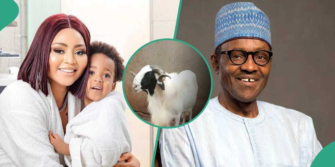 Regina Daniels’ son receives ram from ex-president Muhammadu Buhari's daughter