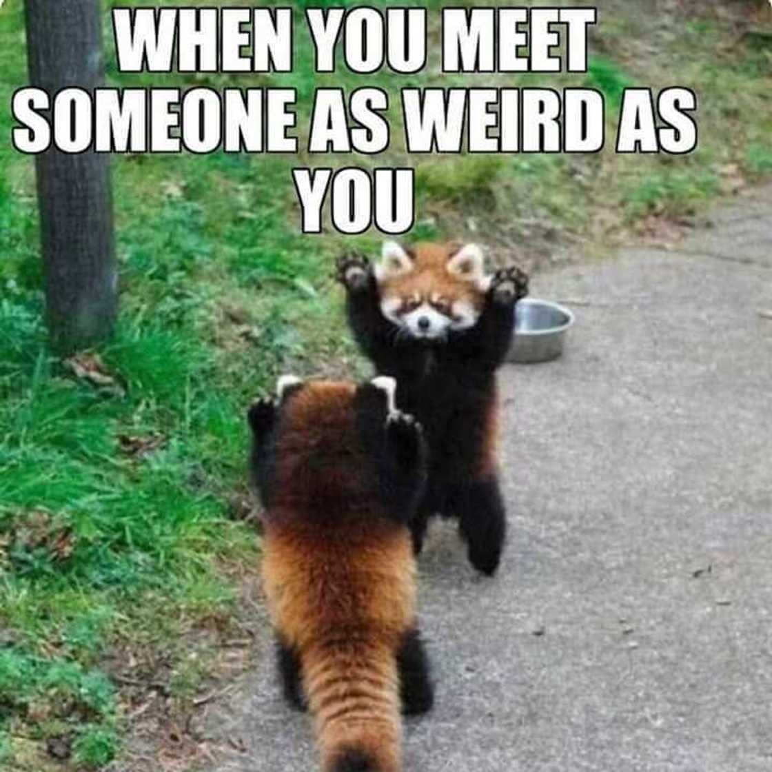 Happy Wednesday Happy Wednesday