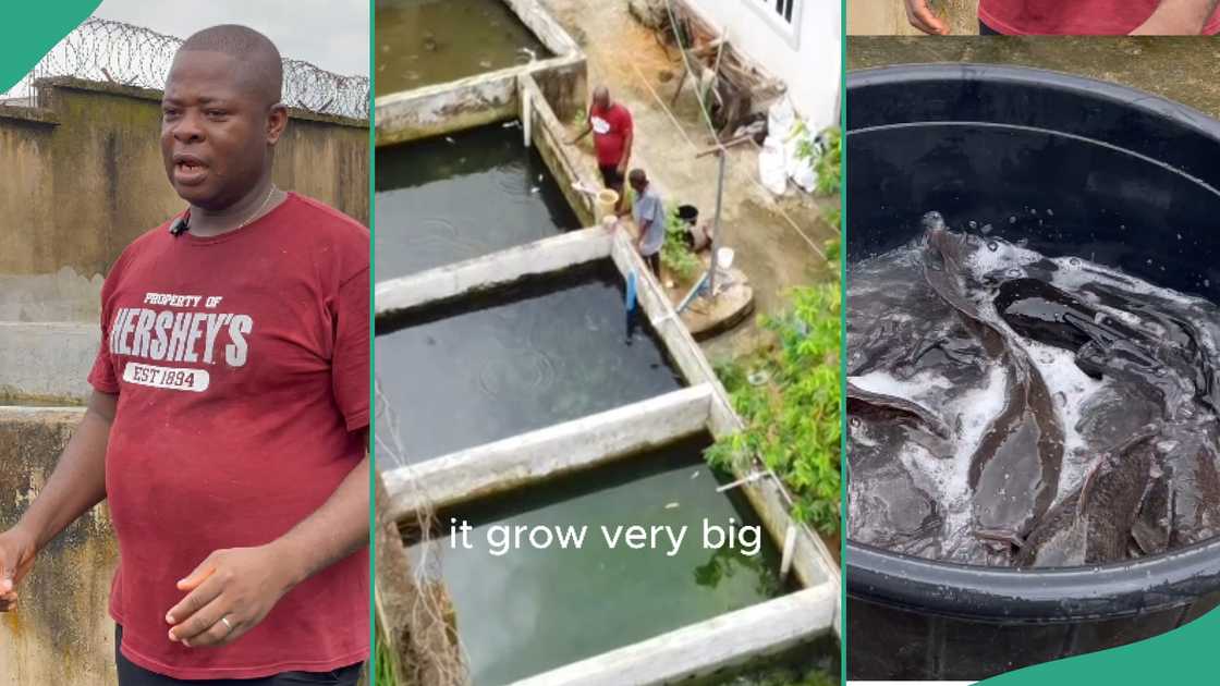 Man who owns a fish pond.