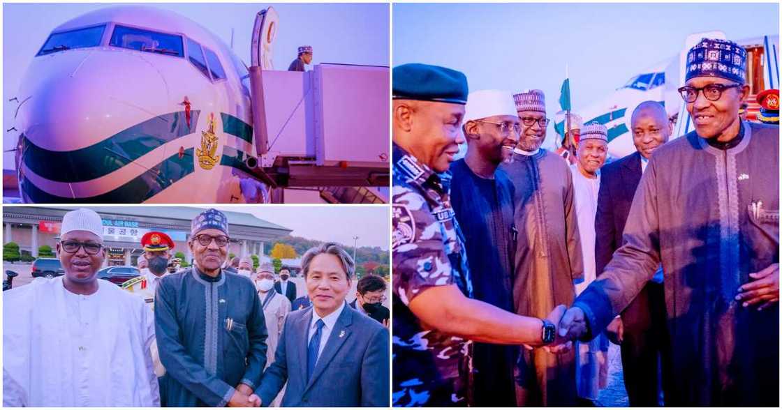 President Muhammadu Buhari, Abuja, South Korea, the 1st World Bio Summit President Muhammadu Buhari, Abuja, South Korea, the 1st World Bio Summit