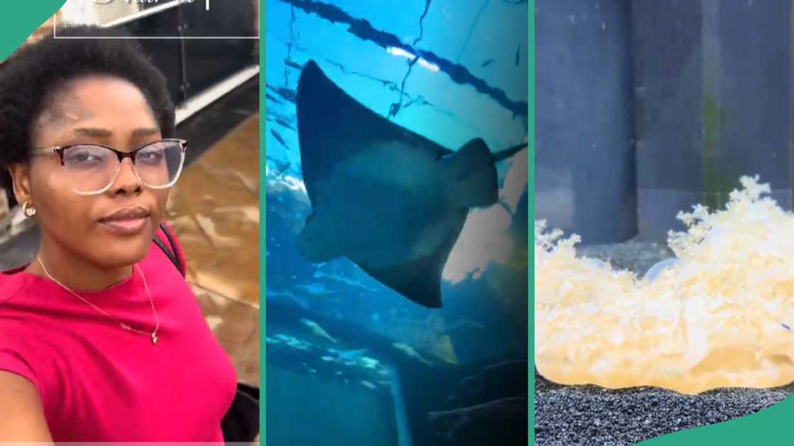 Nigerian lady finds an aquarium in Lagos. Nigerian lady finds an aquarium in Lagos.