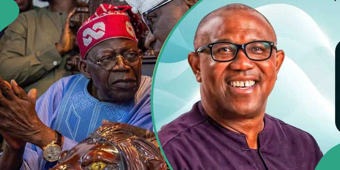 Peter Obi/Peter Obi news/Latest about Bola Tinubu Peter Obi/Peter Obi news/Latest about Bola Tinubu