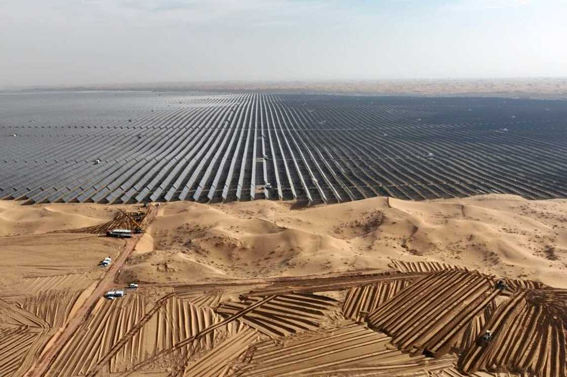 A field of solar panels in China, which the IEA dubs 'the world's renewables powerhouse'