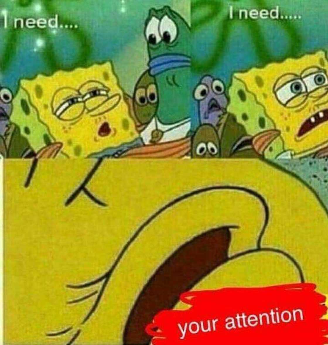 flirty memes for him flirty memes for him