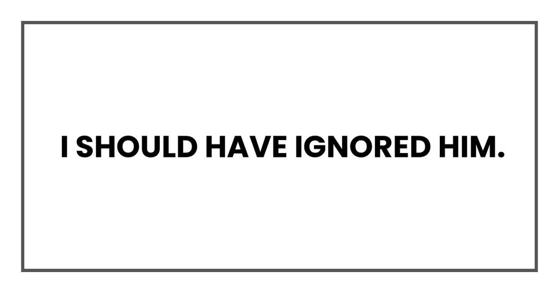 I should have ignored him. I should have ignored him.