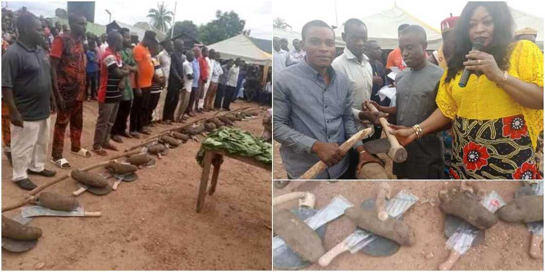 Local government chairman empowered farmers Local government chairman empowered farmers