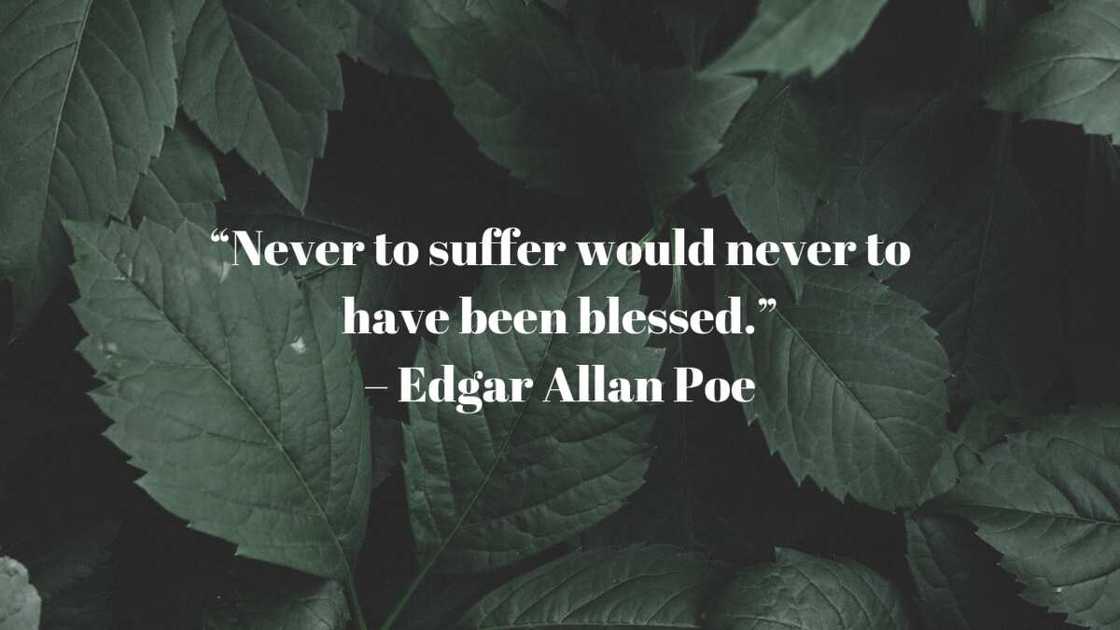Edgar Allan Poe Raven quotes Edgar Allan Poe Raven quotes