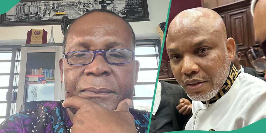 Joe Igbokwe would not mind Nnamdi Kanu's release Joe Igbokwe would not mind Nnamdi Kanu's release