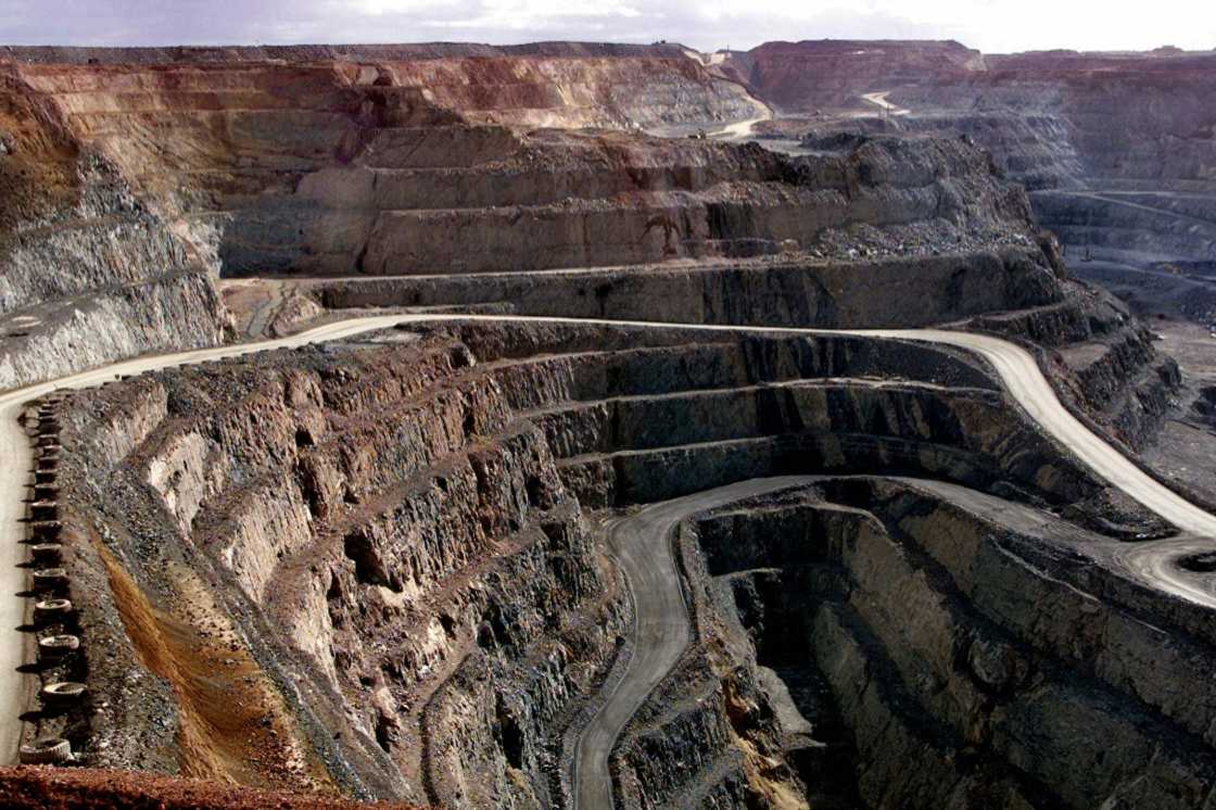 Gold miners were among the biggest losers as the price of the precious metal tanked on world markets Gold miners were among the biggest losers as the price of the precious metal tanked on world markets