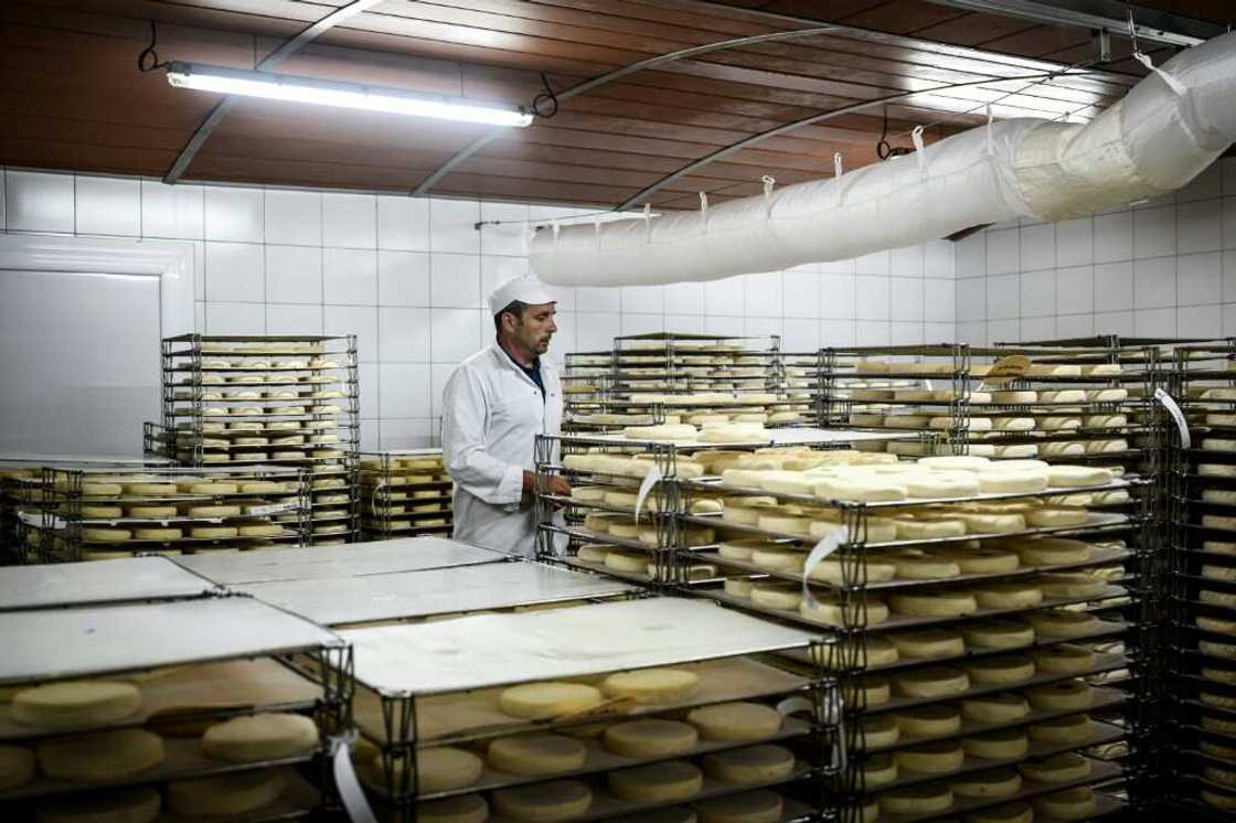 'It's going to be hard to make up for what we've already lost,' says Felix Gallet at the reblochon cooperative in Thones 'It's going to be hard to make up for what we've already lost,' says Felix Gallet at the reblochon cooperative in Thones