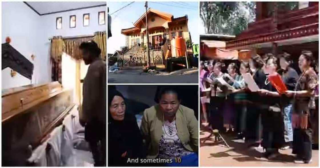 Toraja: Garin da jamaa ke rayuwa da gawawwaki, suna ciyar da su tare da tufatarwa Toraja: Garin da jamaa ke rayuwa da gawawwaki, suna ciyar da su tare da tufatarwa