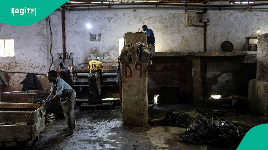 The Federal Government of Nigeria has launched a new industrial policy to revive inactive factories and boost local manufacturing, but expert calls for effective implementation.