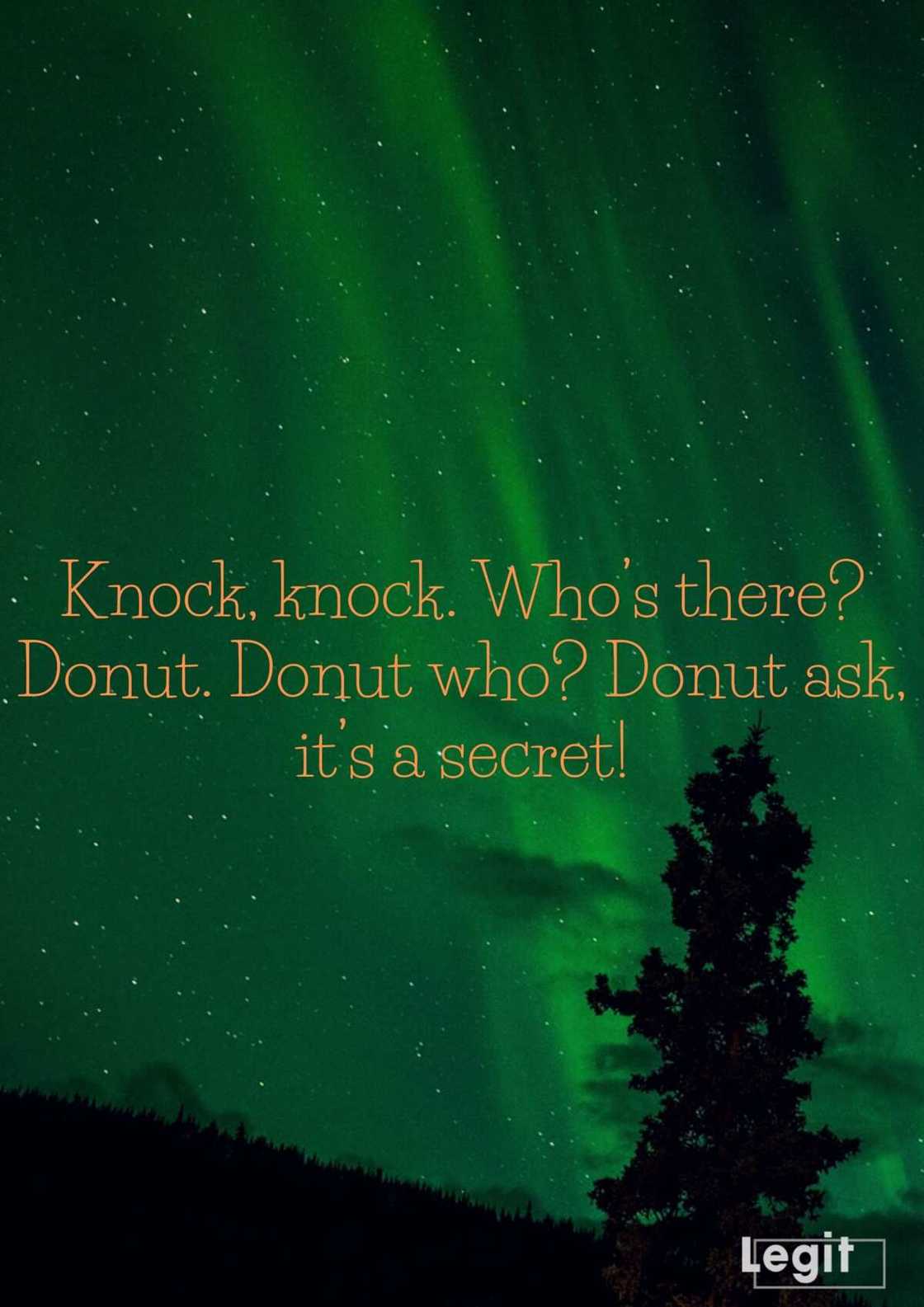 knock-knock who's there knock-knock who's there