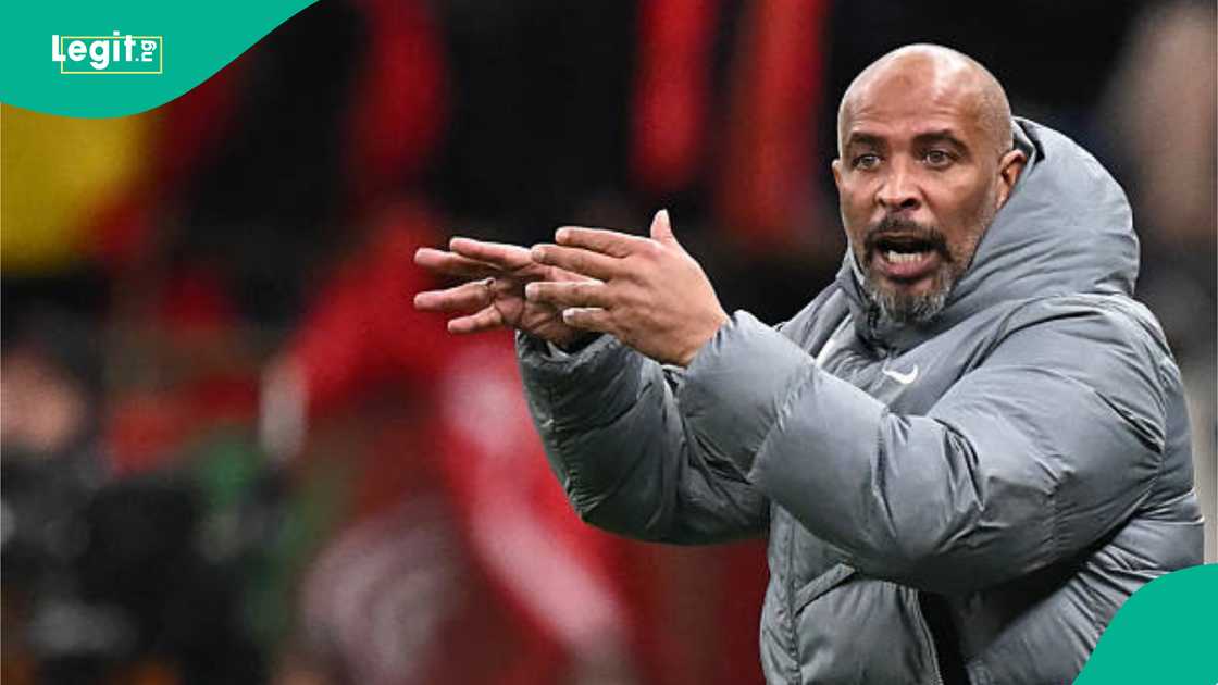 Eric Chelle, Super Eagles, Nigeria, NFF, Angola Eric Chelle, Super Eagles, Nigeria, NFF, Angola