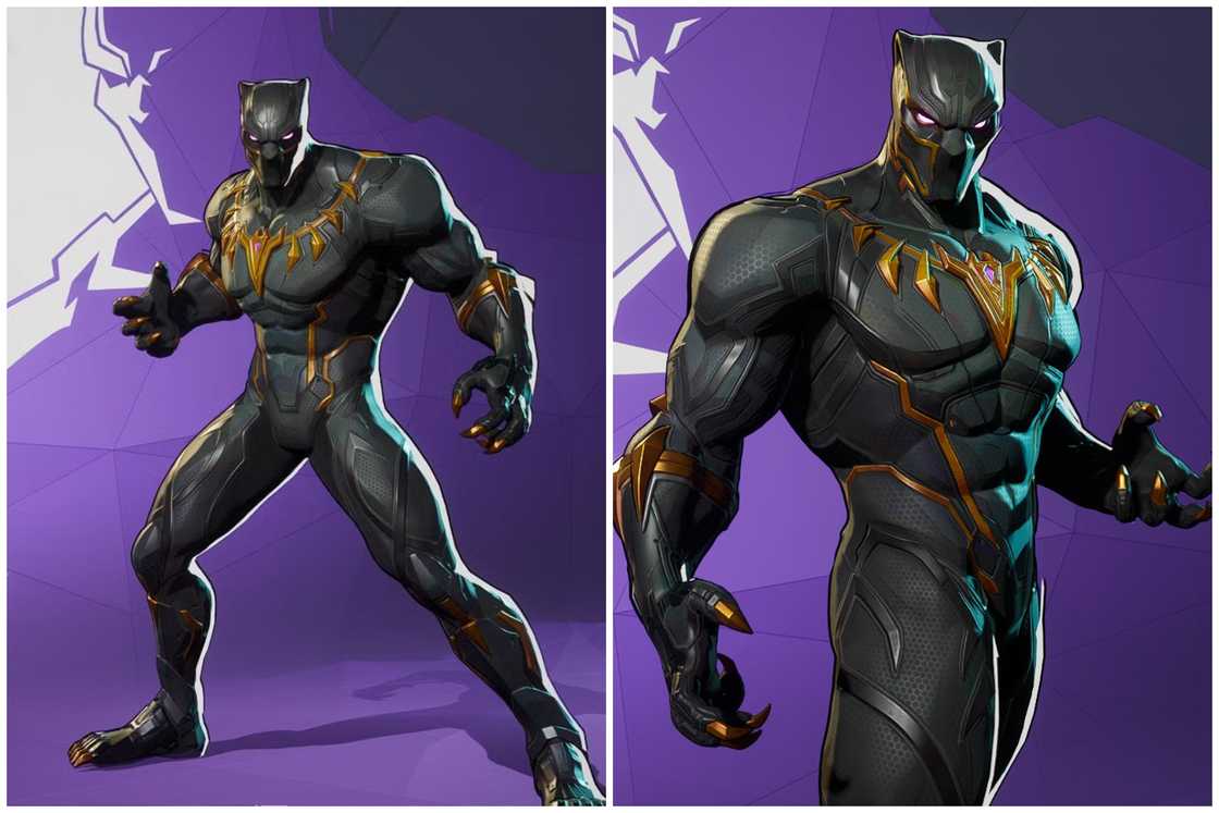 Black Panther Black Panther