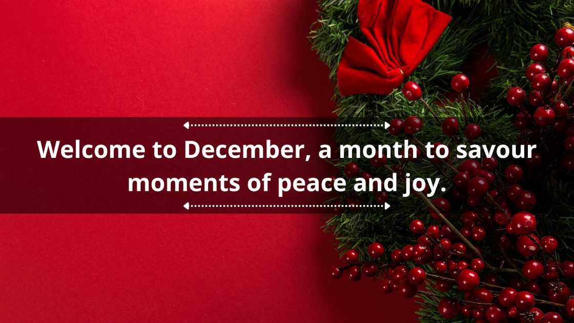 December quotes for Instagram