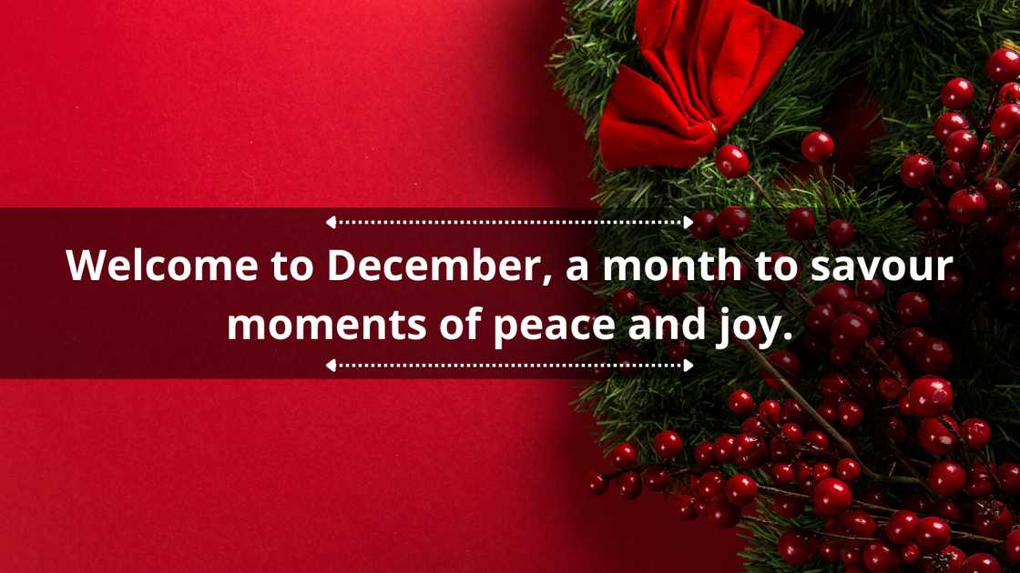 December quotes for Instagram December quotes for Instagram