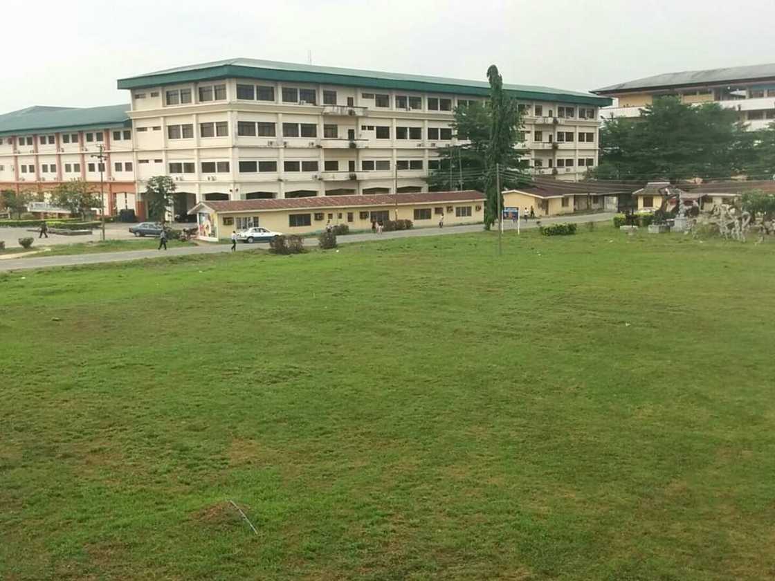 Madalla! Malamin da aka sace a jami'ar Patakwal ya kuɓuta Madalla! Malamin da aka sace a jami'ar Patakwal ya kuɓuta