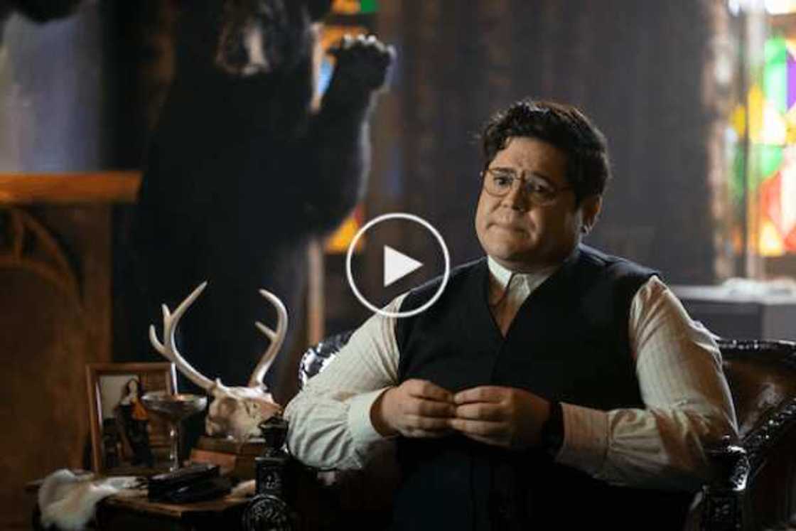 From Insecure to Gossip Girl, All the Best International Series on Showmax in December & January From Insecure to Gossip Girl, All the Best International Series on Showmax in December & January