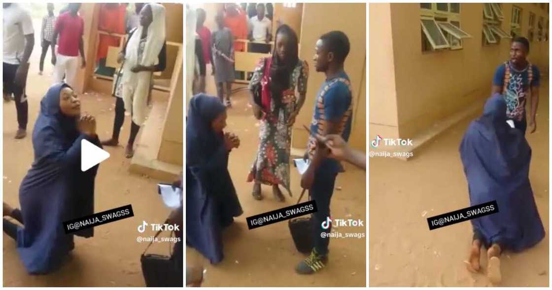 Usmanu Danfodiyo University, Sokoto, Muslim lady, professes love to boy Usmanu Danfodiyo University, Sokoto, Muslim lady, professes love to boy