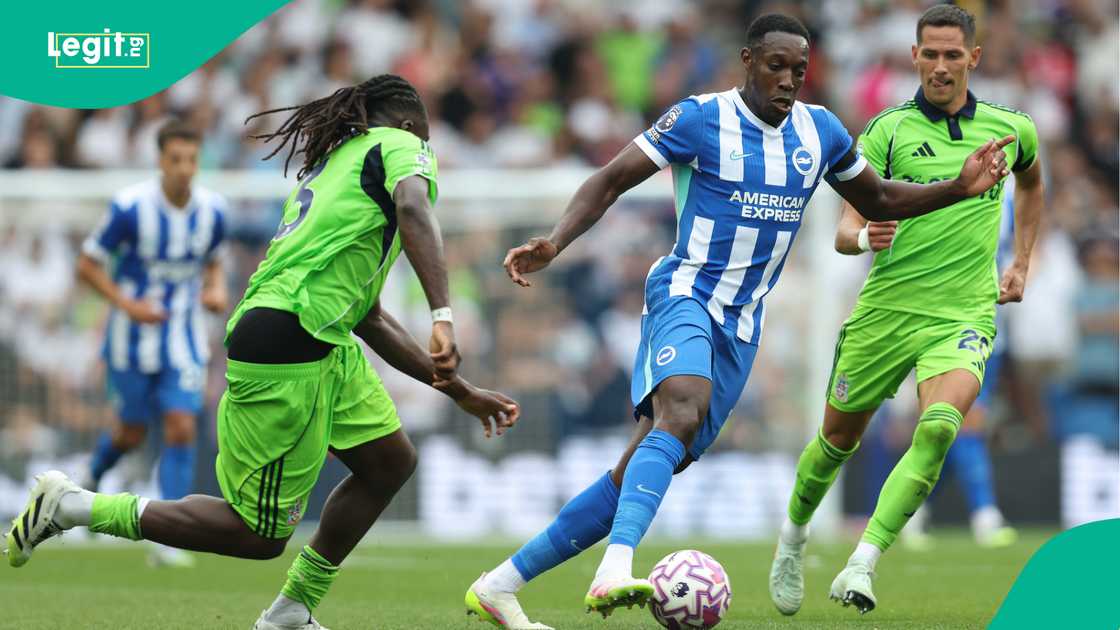 Calvin Bassey, Danny Welbeck, Sasa Lukic, Fulham, Brighton, AMEX Stadium, England, Premier League