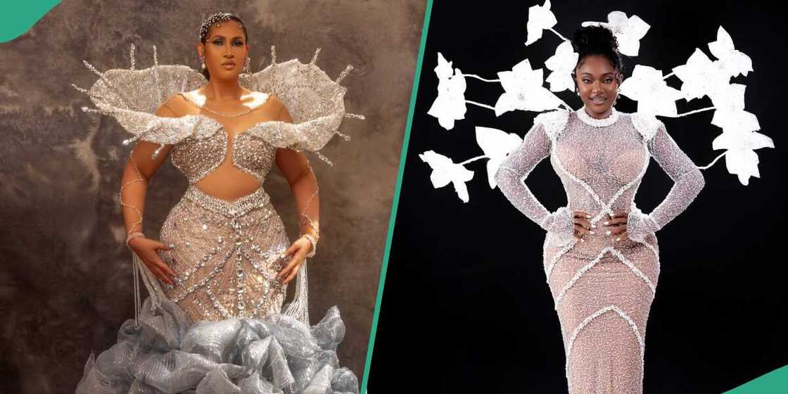 Nigerian celebs at AMVCA 2024 Nigerian celebs at AMVCA 2024
