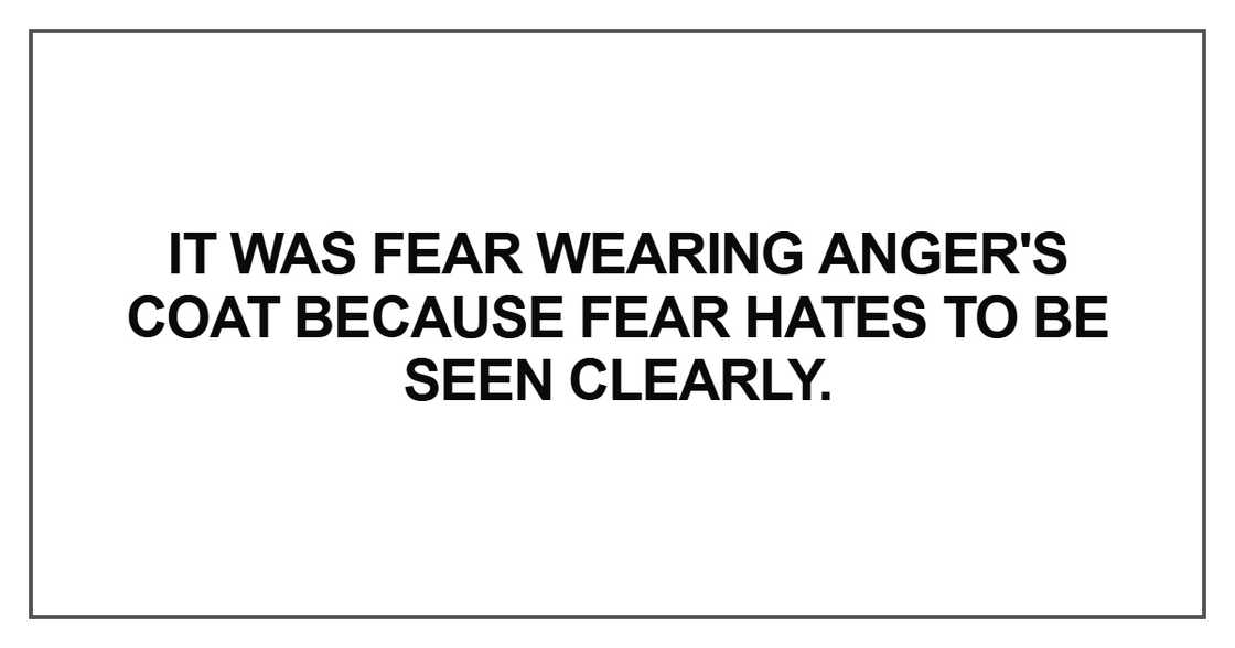It was fear wearing anger's coat