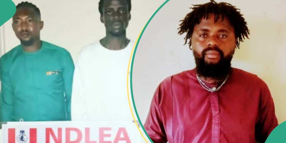 Gbemileke Adelola/NDLEA/Osun Gbemileke Adelola/NDLEA/Osun