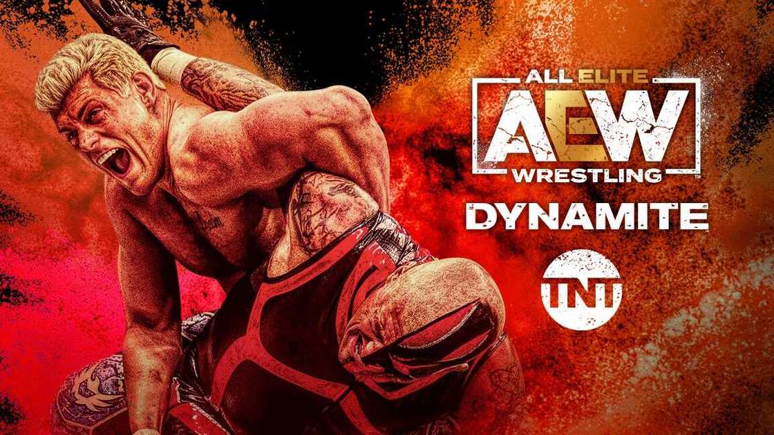 TNT Africa muscles up with exciting channel refresh for 2021 TNT Africa muscles up with exciting channel refresh for 2021