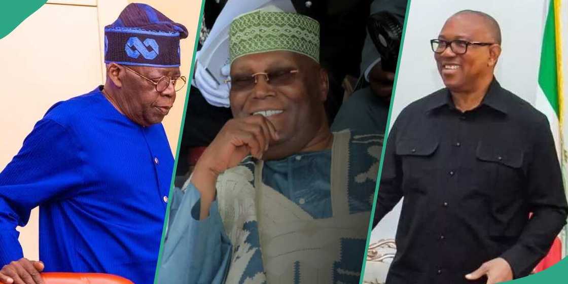 Bola Tinubu/Latest about Bola Tinubu/Peter Obi news