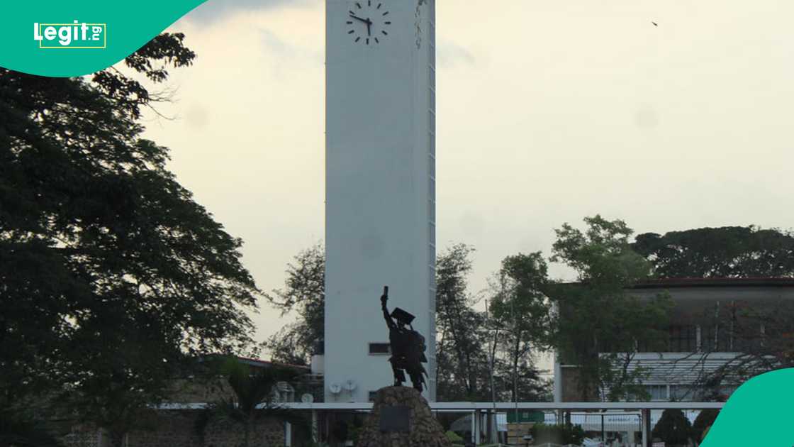 University of Ibadan, Academic Staff Union of Universities, Ministry of Education, Ladoke Akintola University of Technology, Oyo State University of Ibadan, Academic Staff Union of Universities, Ministry of Education, Ladoke Akintola University of Technology, Oyo State