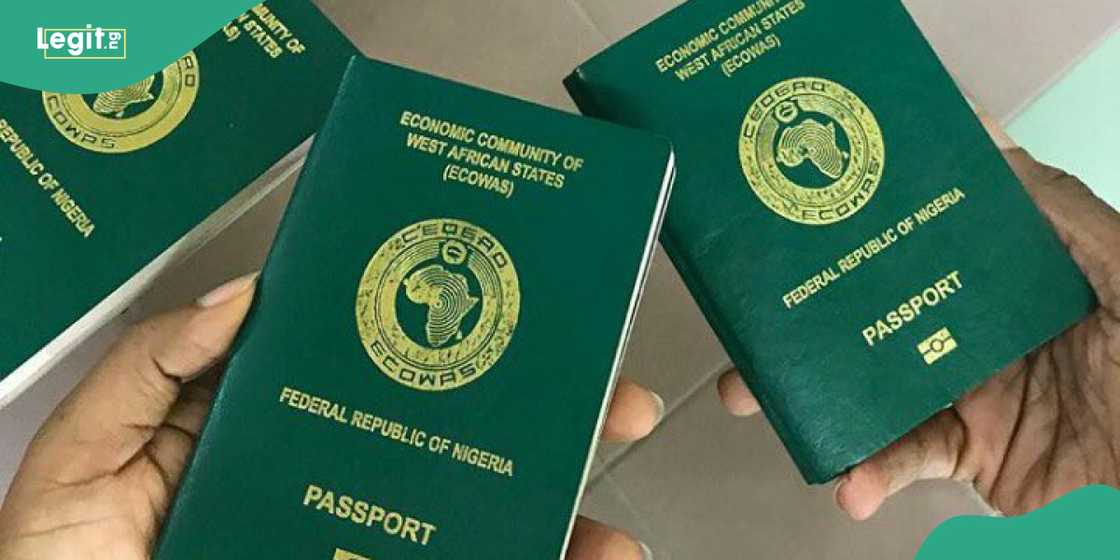 Minimum wage: LP chieftain speaks on link between international passport and take home pay in Nigeria Minimum wage: LP chieftain speaks on link between international passport and take home pay in Nigeria