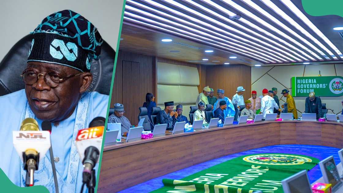 Bala Ibn Na'allah, the Senator representing Kebbi South Senatorial District, claims Nigeria's constitution does not empower President Bola Tinubu and the 36 governors to issue executive orders. Bala Ibn Na'allah, the Senator representing Kebbi South Senatorial District, claims Nigeria's constitution does not empower President Bola Tinubu and the 36 governors to issue executive orders.