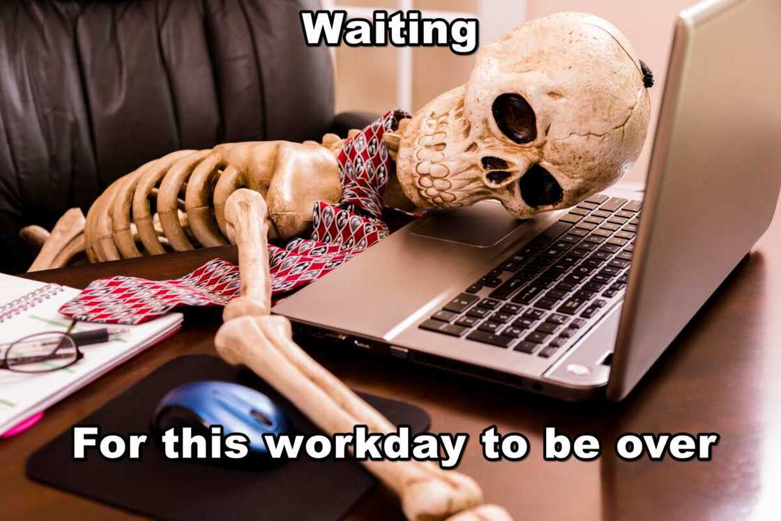 Bone jokes Bone jokes