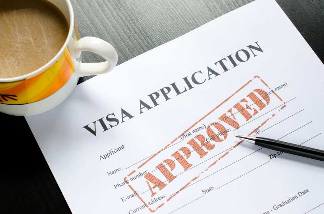 Nigerians can apply for the UK’s 10-year Long-term Standard Visitor visa for multiple visits.
