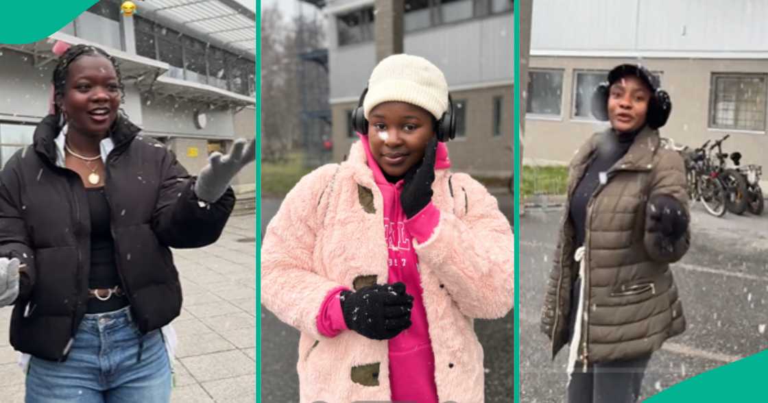 Excited Students Experience Snow For First Time in Finland, Their Reactions Melt Hearts Excited Students Experience Snow For First Time in Finland, Their Reactions Melt Hearts