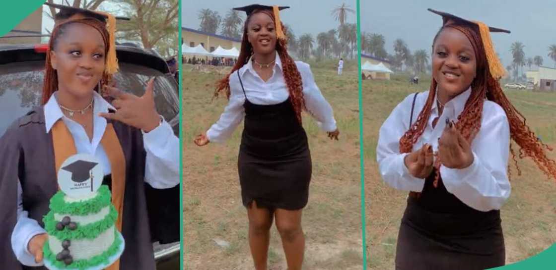 Lastborn matriculates in the university. Lastborn matriculates in the university.