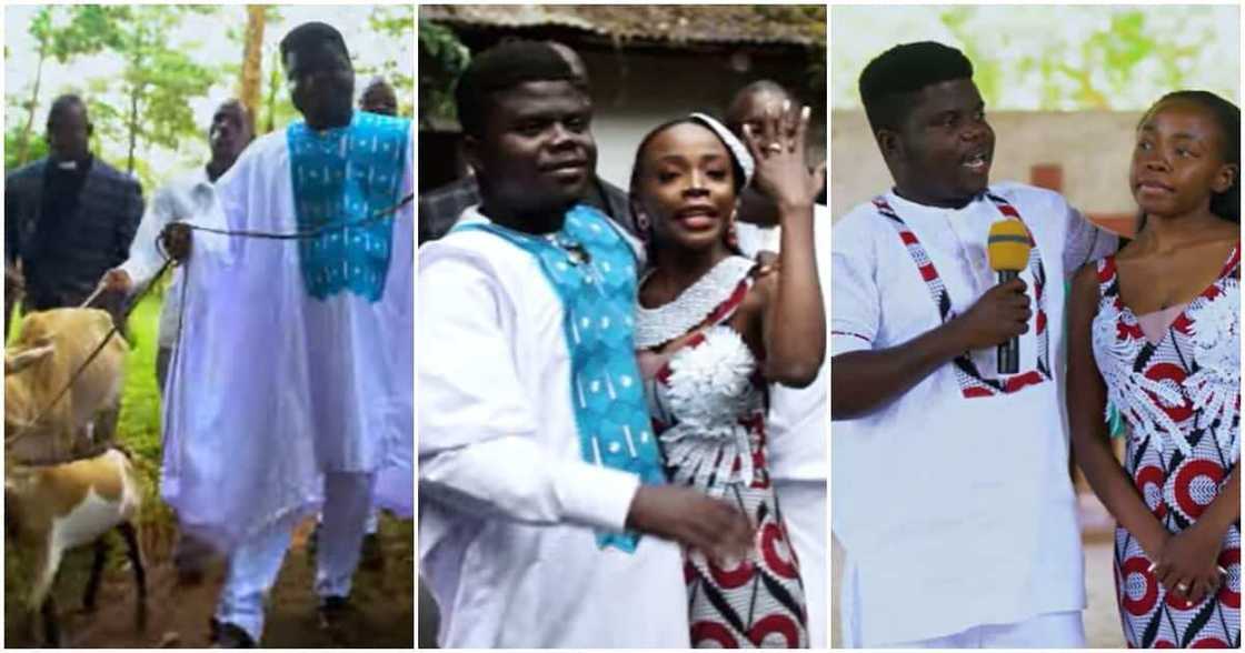 Wode Maya and Miss Trudy. Wode Maya and Miss Trudy.