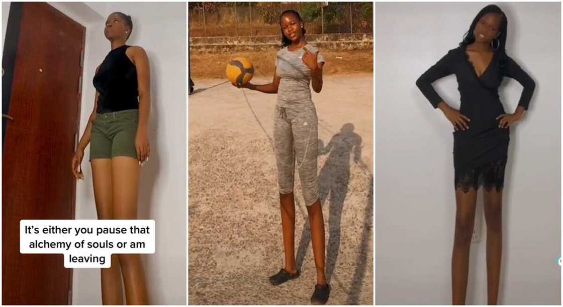 Budurwa mai ji da tsawo Budurwa mai ji da tsawo