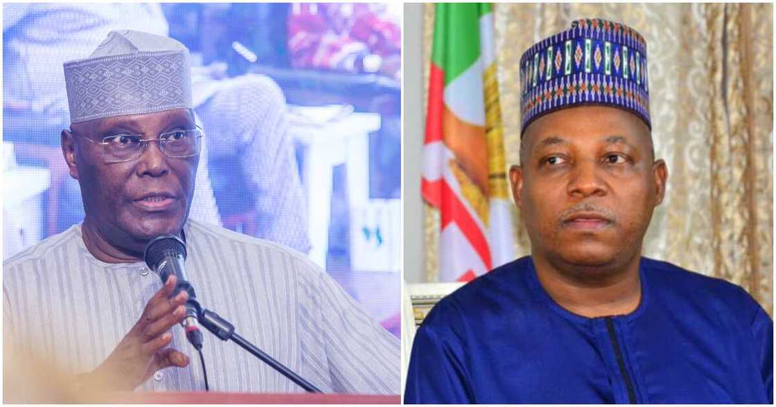 Atiku blasts Kashim Shettima Atiku blasts Kashim Shettima