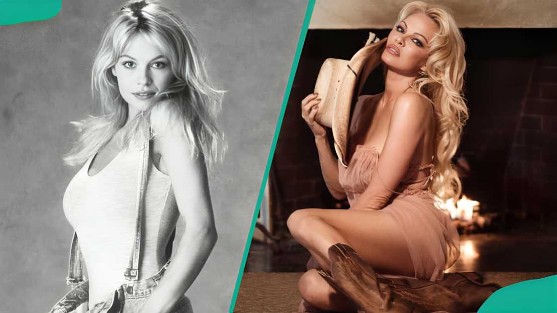 Pamela Anderson posing for the camera Pamela Anderson posing for the camera