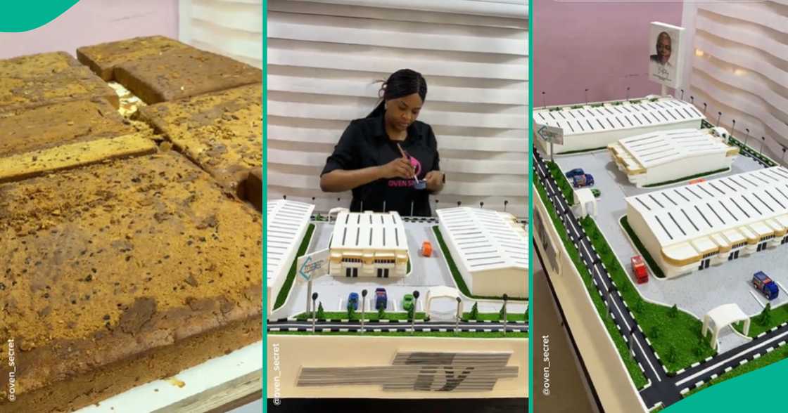 Lady Bakes Cake That Looks Like Estate For T.Y Danjuma’s Birthday, Video Shows Process Lady Bakes Cake That Looks Like Estate For T.Y Danjuma’s Birthday, Video Shows Process