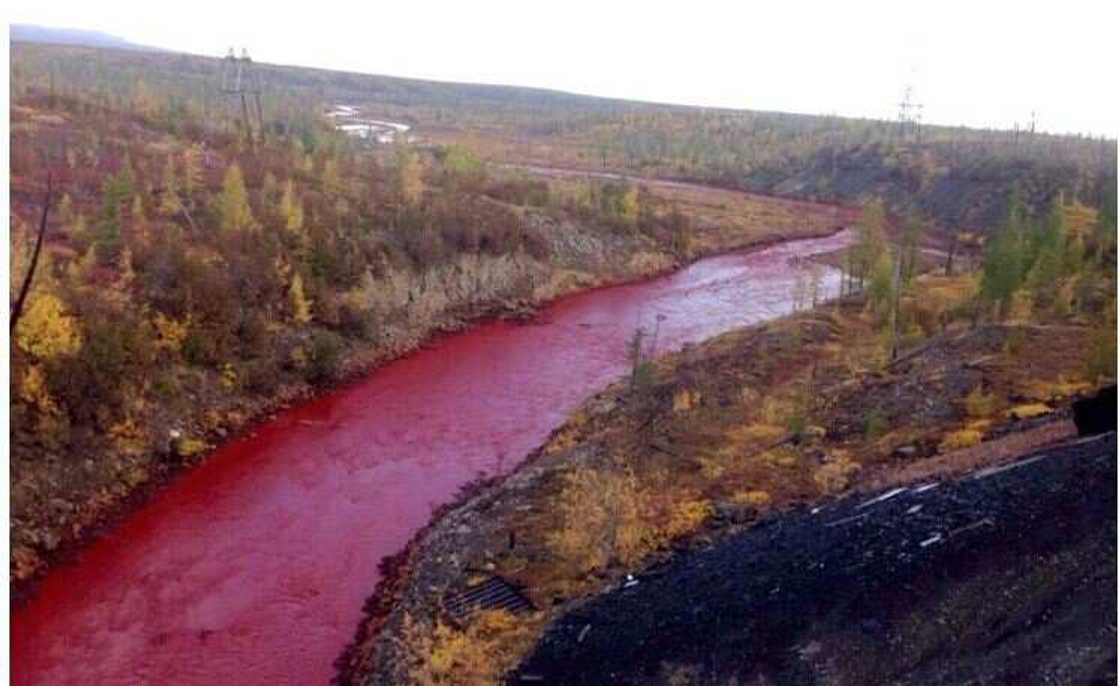 Allah-mai-iko: Wata koramar ruwa ta rikide ta koma ta jini a kan idon al'umma a Rasha (Hotuna) Allah-mai-iko: Wata koramar ruwa ta rikide ta koma ta jini a kan idon al'umma a Rasha (Hotuna)