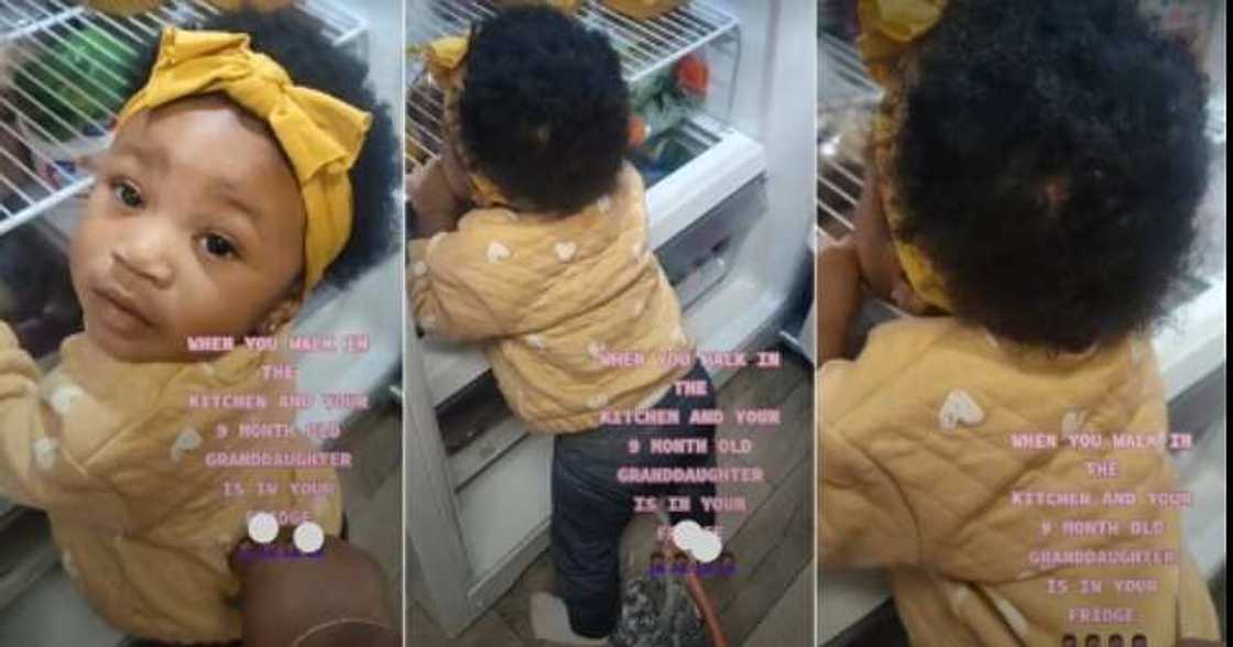 Little girl licks fridge, refrigerator Little girl licks fridge, refrigerator