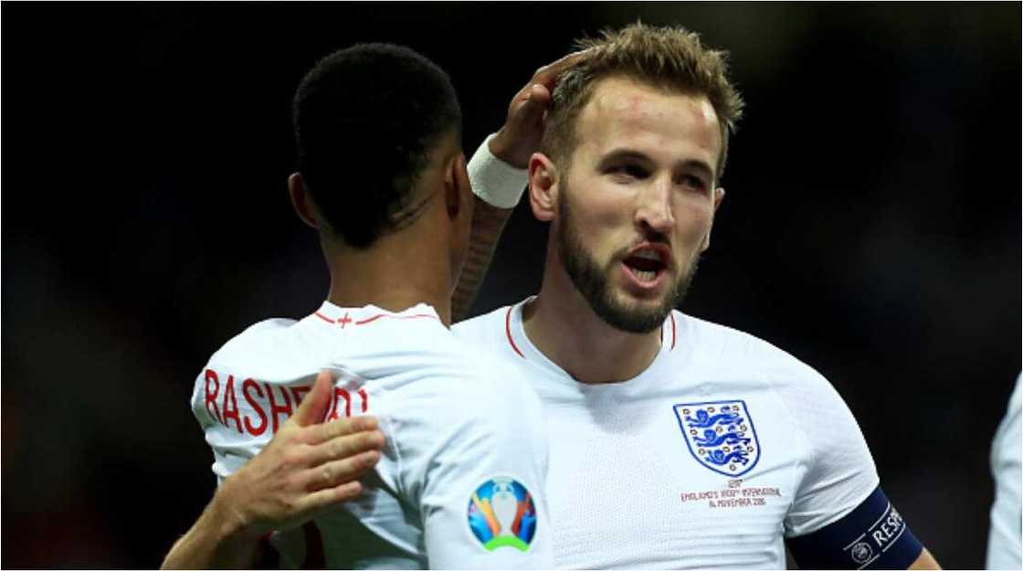 UK’s Cleverest Dog Makes Huge Prediction on Winner of England vs Croatia Encounter at Wembley UK’s Cleverest Dog Makes Huge Prediction on Winner of England vs Croatia Encounter at Wembley