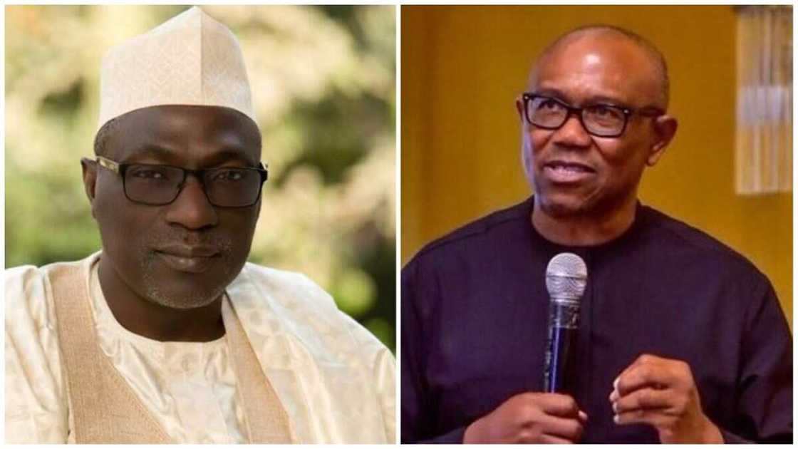 Peter Obi, NNPP, Ahmed Makarfi, Labour Party, 2023 presidential election Peter Obi, NNPP, Ahmed Makarfi, Labour Party, 2023 presidential election