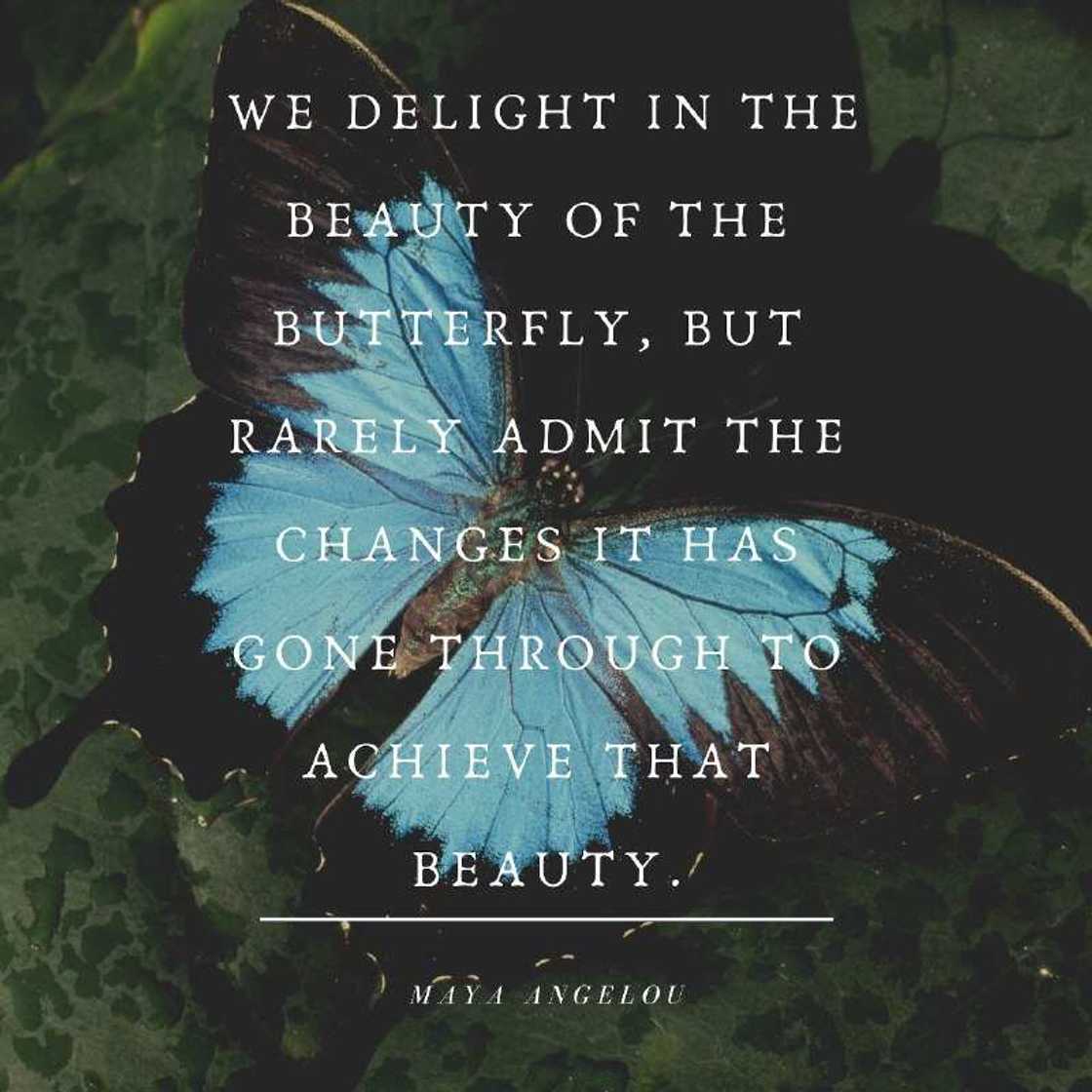 Motivational messages and sayings Motivational messages and sayings